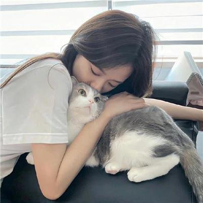 晴晚之林
